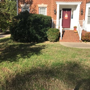 Bush Trimming by A Man and His Machines Lawn Services LLC reviewed on August 19, 2025