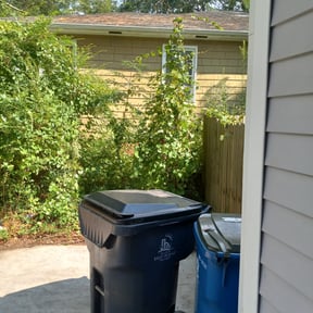 Bush Trimming by Ja-La Handyman & Mower reviewed on August 21, 2025
