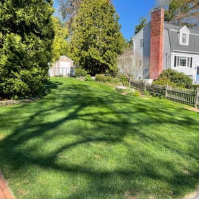 landscape maintenance by Hanson Lawn Care reviewed on August 15, 2025