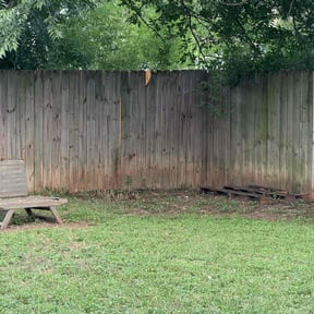 Bush Trimming by Carrate Landscaping LLC reviewed on August 18, 2025