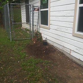 Bush Trimming by Scripted Lawn Services reviewed on August 21, 2025