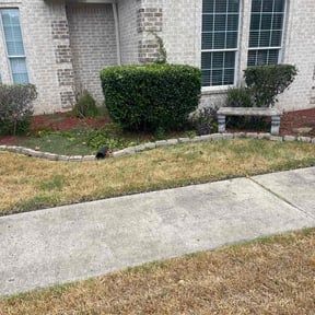 Bush Trimming by Tropicare Landscape and Maintenance reviewed on August 19, 2025
