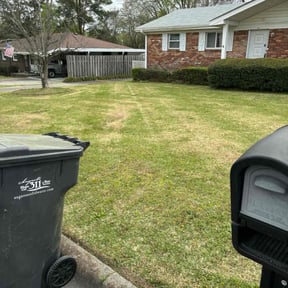 Bush Trimming by C & M Lawn Service reviewed on August 18, 2025