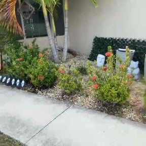 Flower Bed Weeding by LawnSense reviewed on October 24, 2025