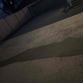 Leaf Removal by OKYOUNGBUCKS reviewed on November 29, 2025