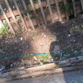 Flower Bed Weeding by Gus lawn's reviewed on August 20, 2025