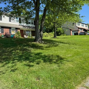 yard maintenance by AB professional lawn service reviewed on August 21, 2025