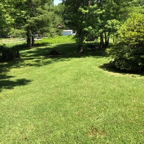 grass maintenance by L&S Lawn Pros reviewed on May 21, 2025