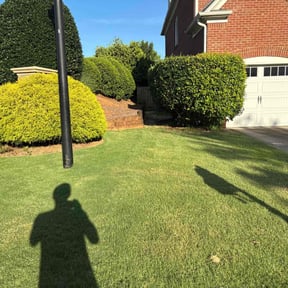 yard maintenance by Paramount Professional Services reviewed on August 16, 2025