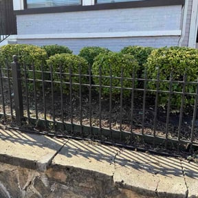 Bush Trimming by J&amp;l landscaping reviewed on October 19, 2025