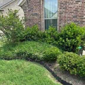 Bush Trimming by Kansas pro lawn care llc reviewed on April 26, 2026
