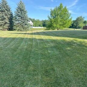 landscape maintenance by Lion's Heart Lawn Care reviewed on May 19, 2024