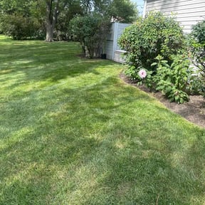 yard service by Yoshiro's Landscaping reviewed on August 19, 2025