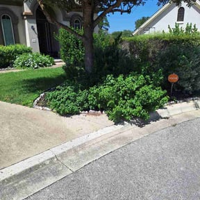 Bush Trimming by New Image Landscaping LLC reviewed on July 19, 2026