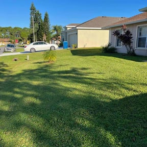yard care by WeHaul Lawn Care and Junk Removal reviewed on August 18, 2025