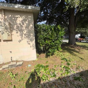 Bush Trimming by Abney&#039;s lawncare reviewed on November 10, 2025