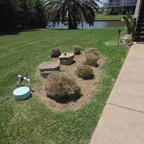 Flower Bed Weeding by Lawn care by lalo reviewed on May 14, 2026