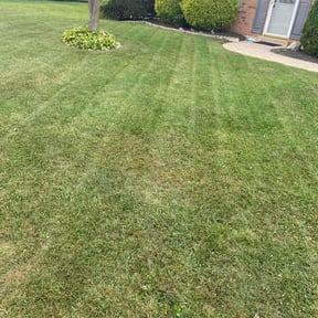 lawn service by Master of landscape reviewed on August 30, 2024