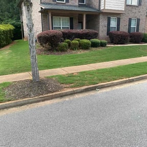 Bush Trimming by Sir Knights Lawn Care reviewed on August 16, 2025