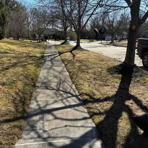 Leaf Removal by Green Love reviewed on March 5, 2026