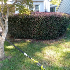 Bush Trimming by S&P Lawn maintenance LLC reviewed on August 16, 2025