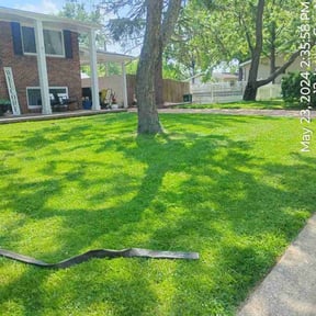 yard care by Lawnawn, LLC reviewed on December 14, 2025