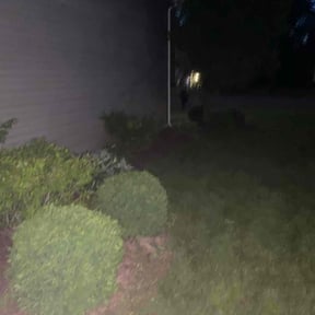 Bush Trimming by Local Green Lawn Care LLC reviewed on August 20, 2025