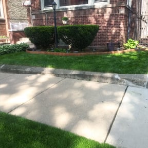 Bush Trimming by Cornerstone landscape & design reviewed on August 17, 2025
