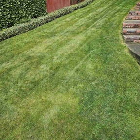 grass cutting by Landes Landscape reviewed on May 10, 2024