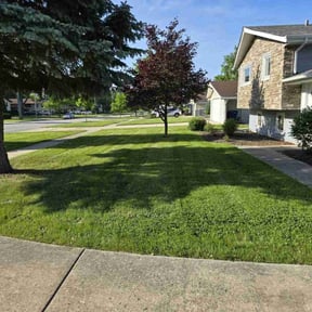 turf maintenance by Laupola's Landscaping reviewed on October 14, 2023