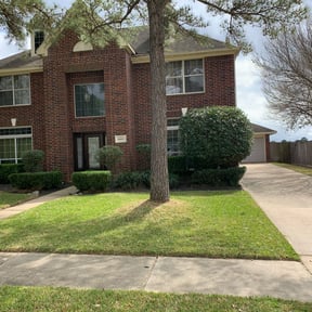 Bush Trimming by Sgp Lawn services reviewed on August 18, 2025