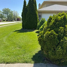 yard maintenance by Green Door reviewed on November 22, 2025