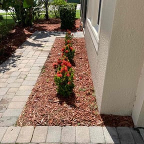 Flower Bed Weeding by Poetry In Motion, LLC reviewed on August 20, 2025