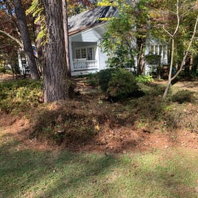 Bush Trimming by Perspective Solutions LLC reviewed on August 15, 2025