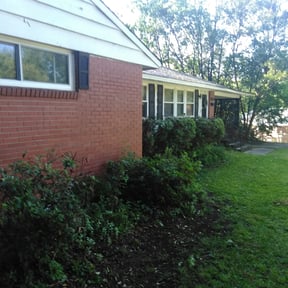 Bush Trimming by David's lawn care reviewed on August 18, 2025