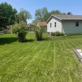 lawn maintenance by Signature Lawn Care LLC. reviewed on August 16, 2025