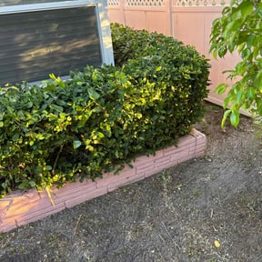 Bush Trimming by Harkins Lawn Services reviewed on November 27, 2025