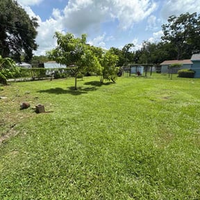 residential landscaping by Deal&#039;s Lawn Maintenance reviewed on November 21, 2025