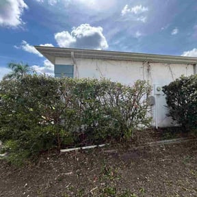 Bush Trimming by Mr do it all. reviewed on October 20, 2025