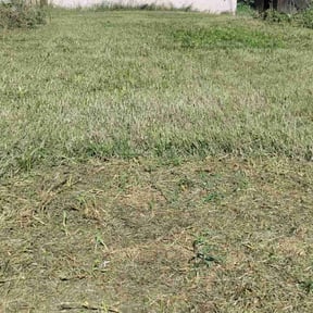 lawn maintenance by Re Image lawn care reviewed on April 21, 2024