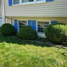 Bush Trimming by Morgan Henry Lawn Care reviewed on October 24, 2025