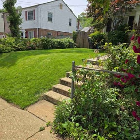 gardening service by Rhoyalty Lawn Care, LLC reviewed on August 19, 2025