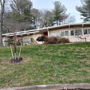 Leaf Removal by Lawn services JAV reviewed on August 16, 2025