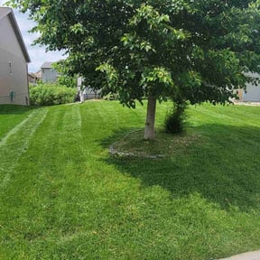 turf care by TallGrassAllGrass Lawn Service reviewed on May 8, 2025