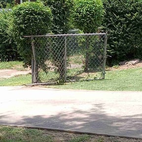 Bush Trimming by Lighting lawns services reviewed on August 19, 2025