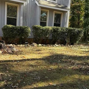 Bush Trimming by Main crew reviewed on December 31, 2025