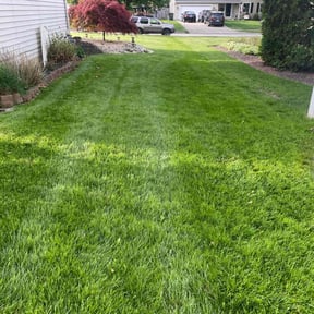 yard work by Wynn2Lawn reviewed on August 15, 2025
