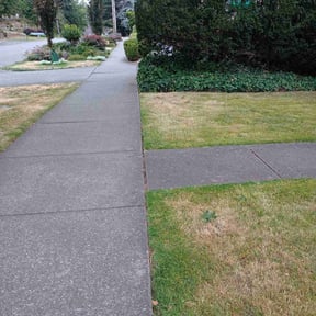 Bush Trimming by 1OasisLawncare reviewed on May 3, 2022