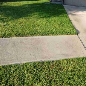gardening service by Brinkley Lawn Care reviewed on August 18, 2025