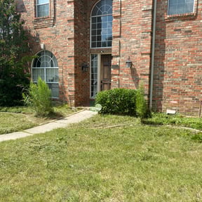 Bush Trimming by 2 Palms Lawn Care reviewed on August 16, 2025